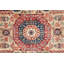 Aryana Wool Oriental Area Rug