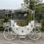Accessoires de jardin Cendrillon-72022296