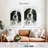 Brampt English Setter Dog-108483109