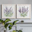 Lavande botanique I - ensemble de 2 peintures sur toile encadrées-2026641858-2026641859