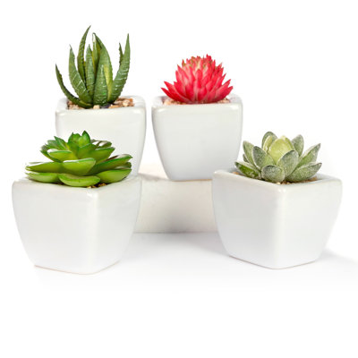 2'' Faux Succulent in Ceramic Pot