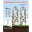 Garden Trellis, 71 x 20 inch Rose Trellis, Garden Flower Rose Trellises with Powder-Coated Finish & Convenient Locking Design, Plant Support Trellises for Flowers, Vegetables, Roses-1542545441