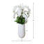Orchid and Allium Arranged in Planter