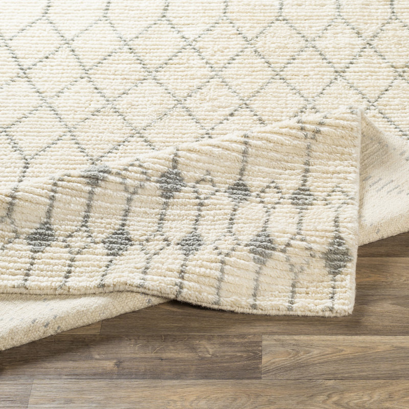 Hiltner Wool Indoor Rug, Rectangle 2' x 3'