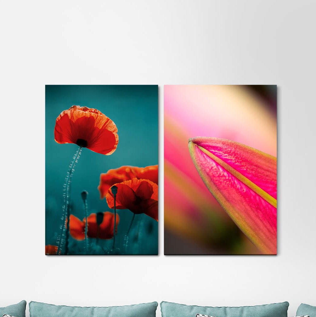 2-tlg. Leinwandbilder-Set - Fotografie „Poppy Flowers Red Summer Beautiful”