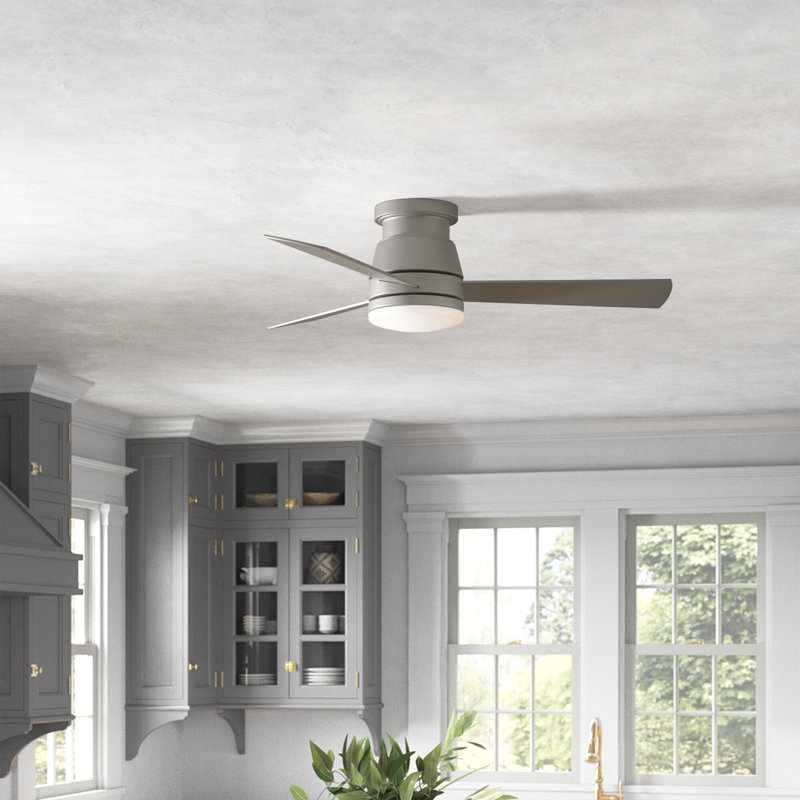Peppa 44'' Ceiling Fan with LED Lights, Brushed Nickel
