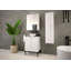 Rigdel Washbasin Cabinet 60-192775271