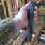Customer photo 1 of 2