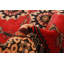 Teimani Red Rug 3'0" x 4'4"