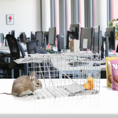 Cage à souris Floridor