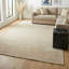 Sanctuary Area Rug in Linen-37779294