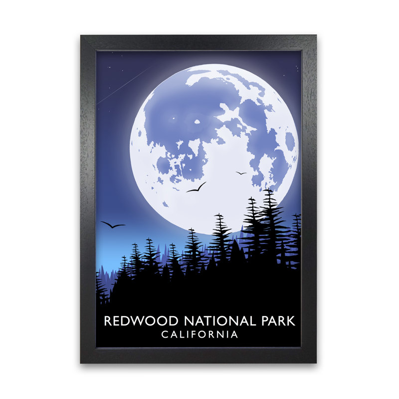 Redwood National Park California by Richard O'Neill - Single Picture Frame Print, 297 cm H x 21 cm W, Black