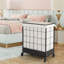Laundry Cart