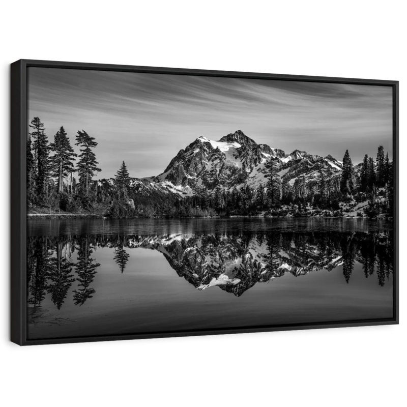 " Monochromatic Mountain ", 43" H x 29" W