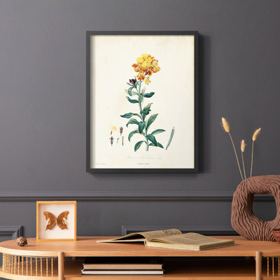 «Traditional Botanical III», reproduction encadrée - bois massif