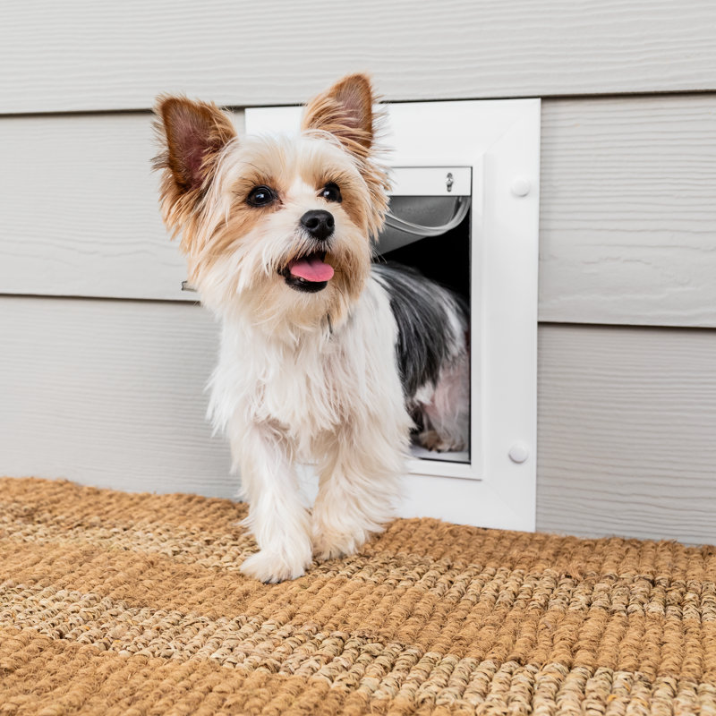 PetSafe® Wall Entry Pet Door, 13" H x 9.25" W x 7.25" L