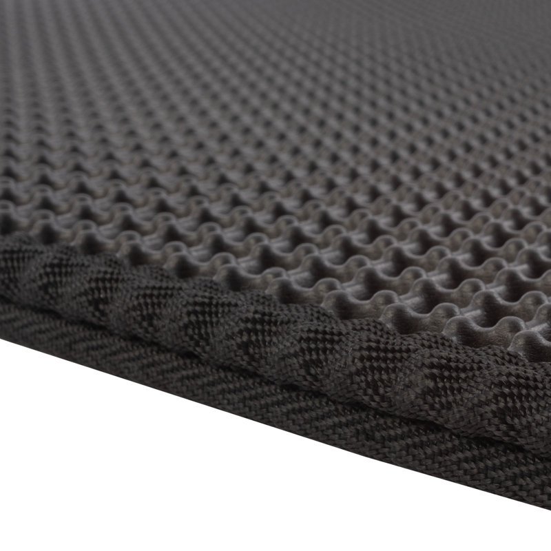 Black Dual-Layer Honeycomb Design Waterproof Cat Litter Mat