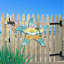 Décoration murale porte-cintre de plage décorative en bois étoile de mer