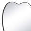 Mela Novelty Steel Wall Mirror-1383776045