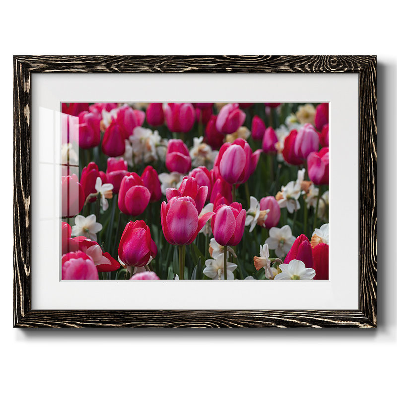 Ressemble au printemps, impression sur papier, Noir