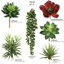Plante grasse artificielle