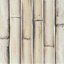 Bamboo 5.88'' W x 11.88'' L Tile-1388762726