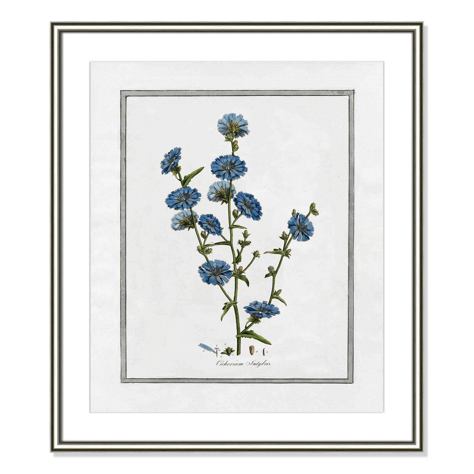 Colombe "Soft Botanical I" Print, 22.75" W x 26.75" H, Silver Framed