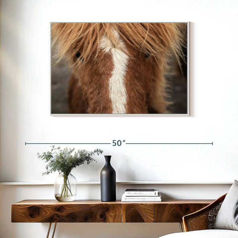 Gros plan d'un cheval Islandais, Cadre flottant blanc, 37 po x 25 po