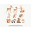 Woodland Animal Wall Decals, Set of 10 Peel and Stick Nursery Wall Stickers, Satin Finish Removable Kids Room Wall Art, 20"W x 20"H (50 x 50 cm)-8292604