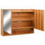Arnez Glass Wall Bathroom Cabinet-1314440361
