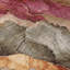 Tapis kaki Xhevrie intérieur / extérieur lavable à la machine-1174334586