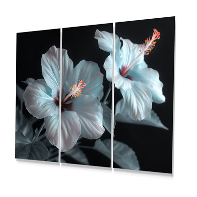 Ensemble d'art mural Roder - Hibiscus