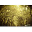 Morgan J Hartley - Wrapped Canvas Print-19836328