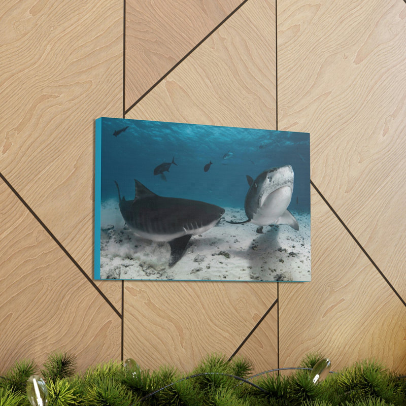 Tiger Shark Couple Tiger Shark Couple Print Animal Wall Art, 12" H x 18" W