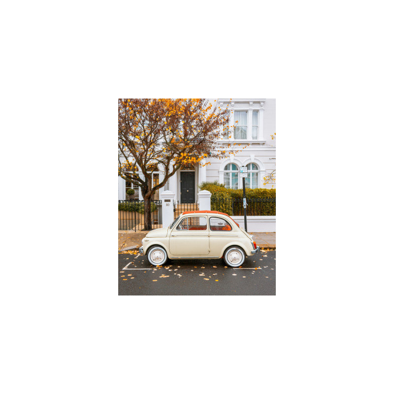 Wrapped Canvas Print, 76.2 cm H x 50.8 cm W