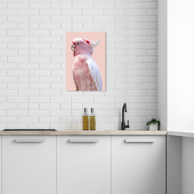 Animaux, plume exotique, corail, rustique, impression sur toile rose rustique