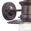 Desota Seeded Glass Outdoor Barn Light-19504068