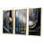 Gold Floater Framed