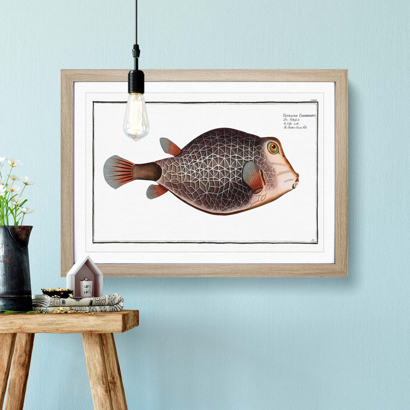 Knitted Trunk-Fish by M.E. Bloch - Picture Frame Graphic Art Print, 48cm H x 65cm W x 2cm D, Oak Framed