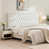 Velours blanc est en rupture de stock