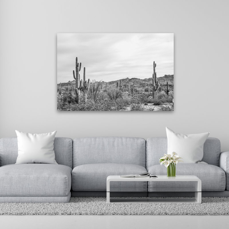 Jardin Sonoran Wonderland BW, H 60 po x l 40 po