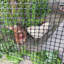 Filet de jardin en plastique 10meter