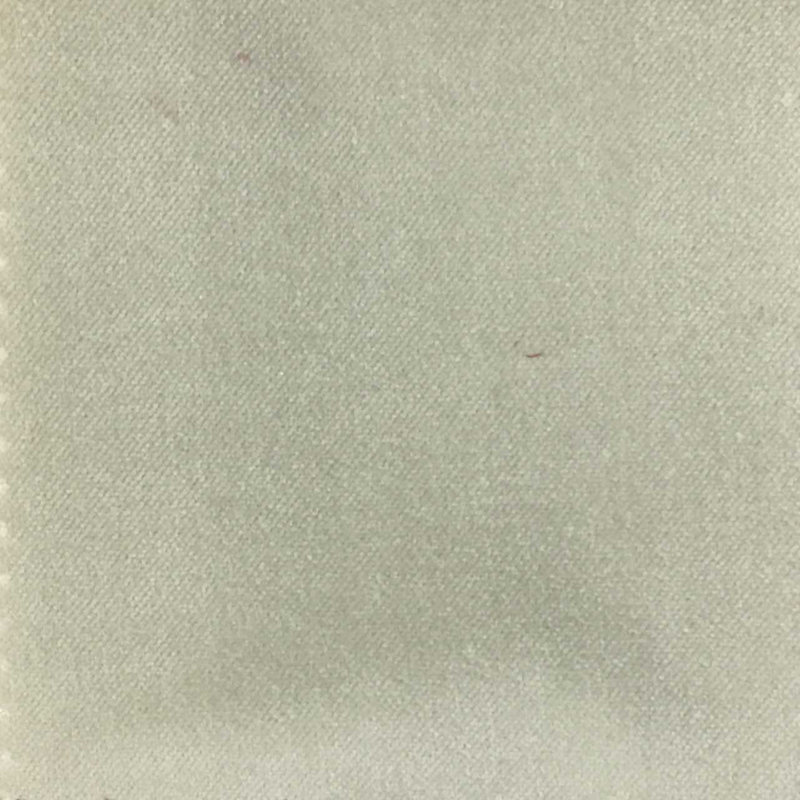 Bowie-Regal Cotton Plain Velvet Upholstery Fabric, Dove