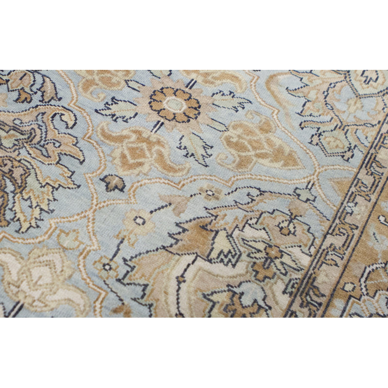 Oriental Area Rug in Light Blue/Ivory/Brown