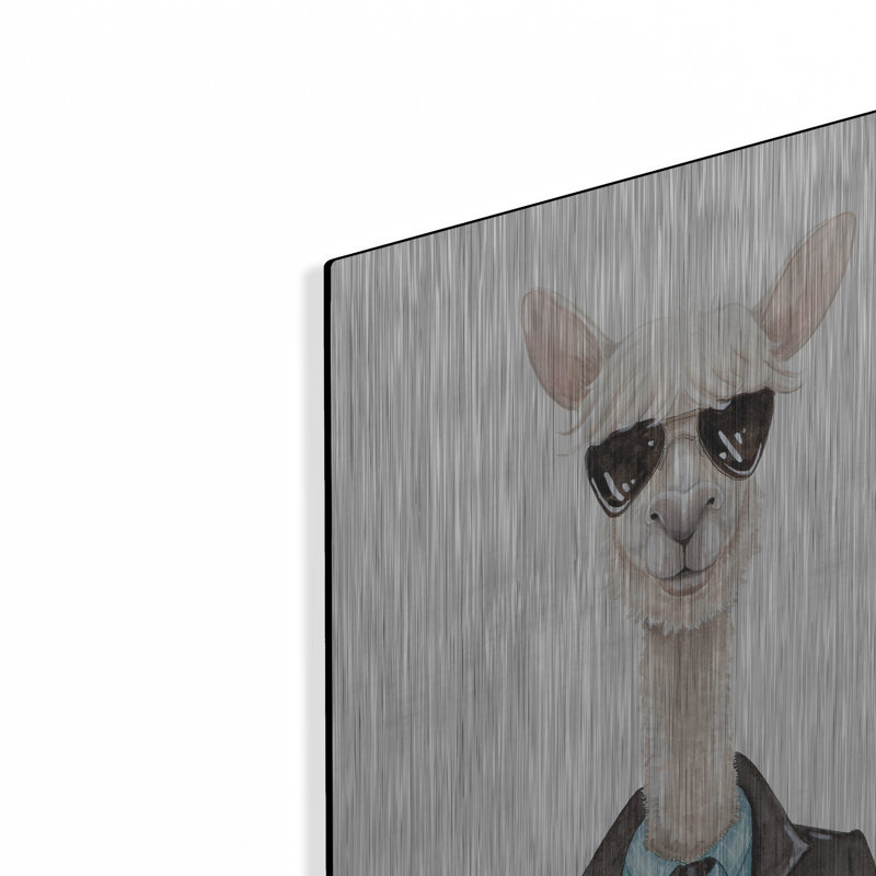 «Alpaca In Aviators» par Rachel Nieman, H 24 po x l 16 po