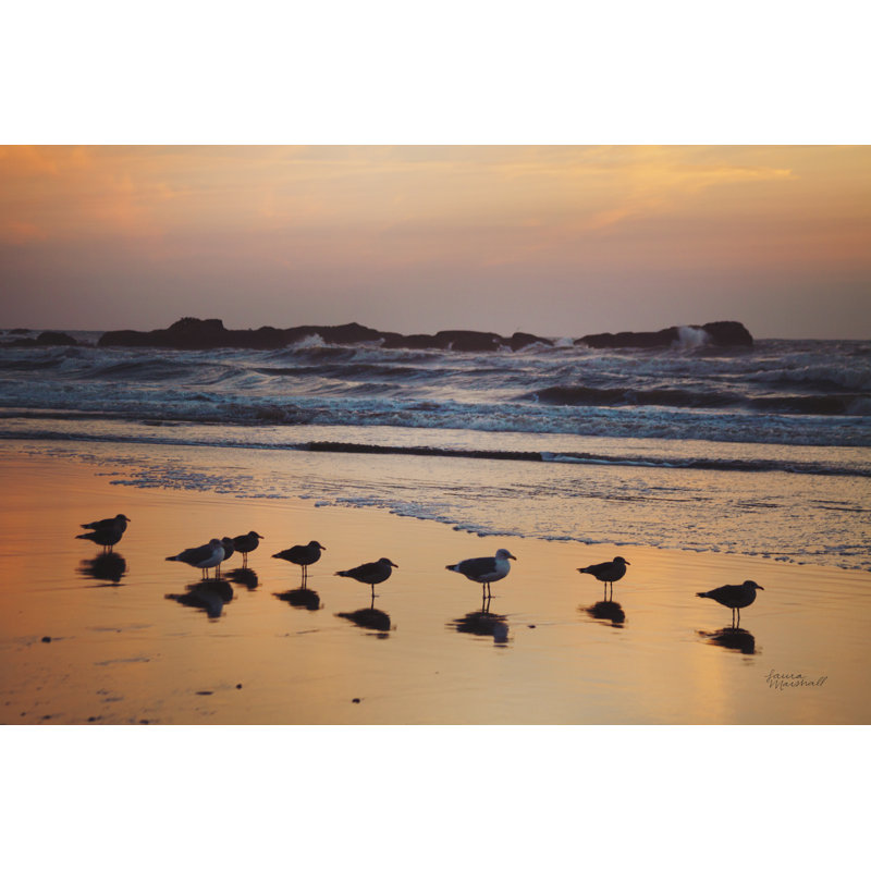 Kalaloch Birds IV by Laura Marshall - Wrapped Canvas Print, 20cm H x 30cm W
