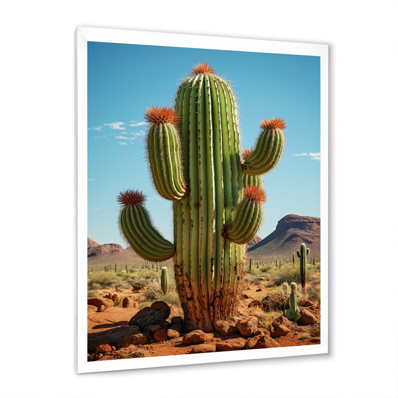 Leonisha, corail vert, cactus du désert, orgue I sur toile, H 32 po x l 16 po x P 1 po, Cadre photo blanc