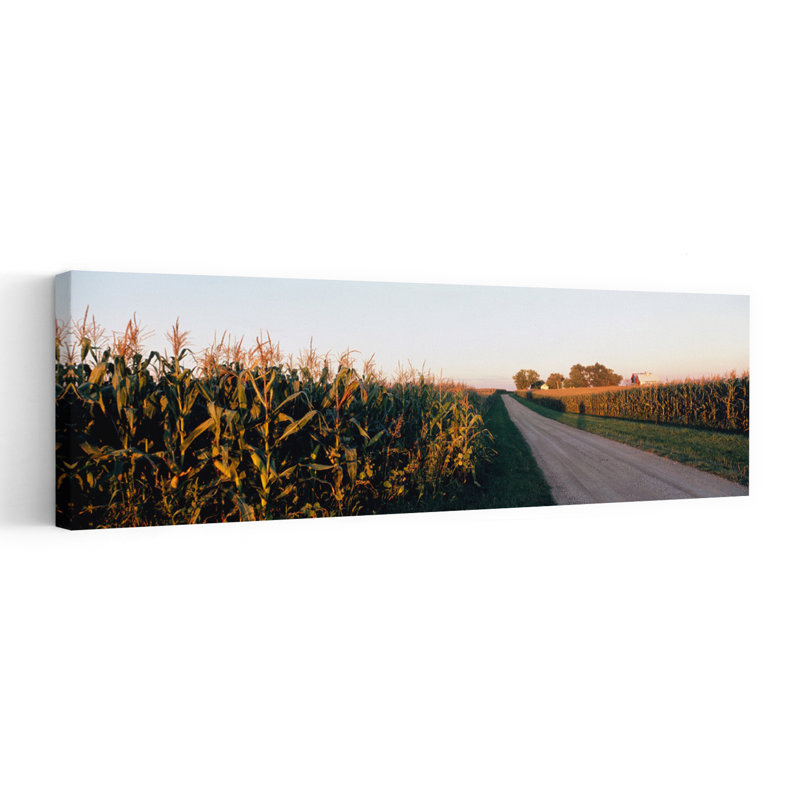 «Dirt Road Passing Through Fields», Illinois, États-Unis, paysage contemporain abstrait, art mural, H 12 po x l 36 po