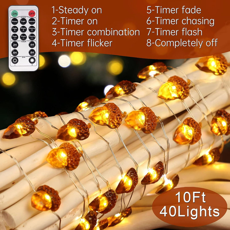 Bissie Indoor 4.8'' Plug-in Fairy String Light
