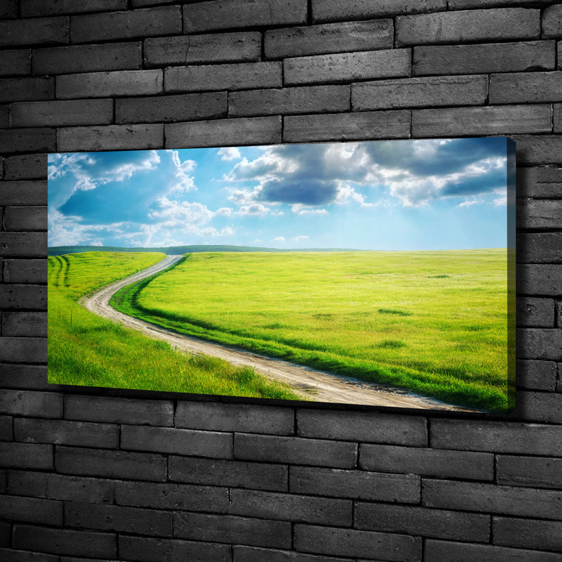 Path In The Meadow - Wrapped Canvas Print